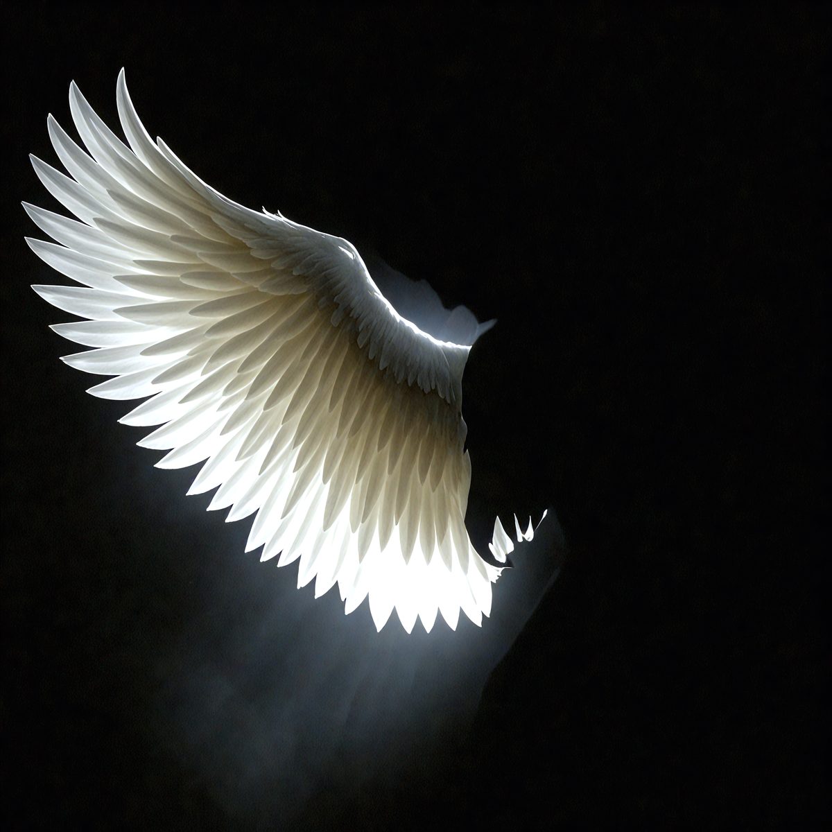 9156 - the-angel-and-the-shadow-a-luminous-angel-wing-contra_250708092527_00001.png